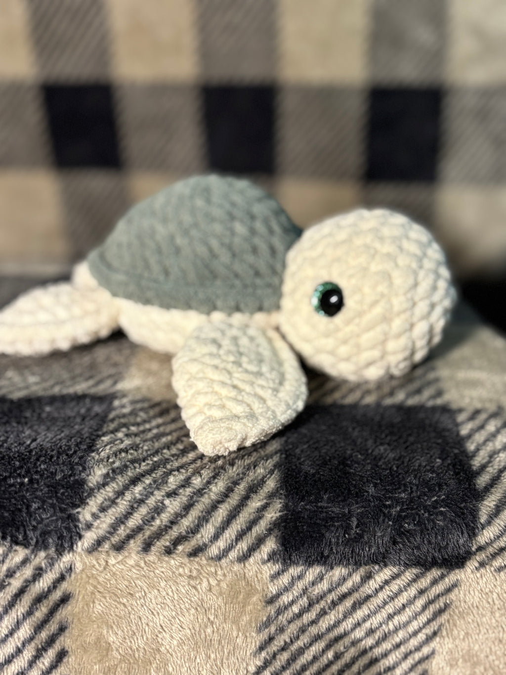 Turtle Familiar